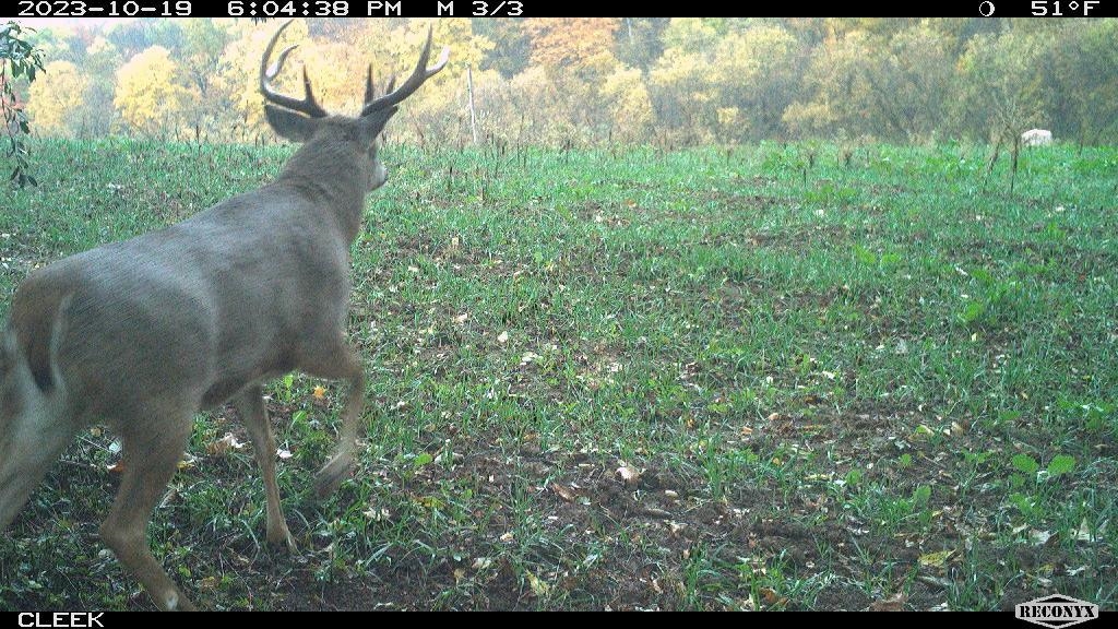 0 Wheat Hollow Road Cazenovia, WI 53924 - Photo 68 of 86