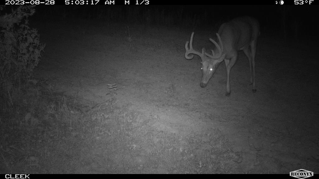 0 Wheat Hollow Road Cazenovia, WI 53924 - Photo 69 of 86