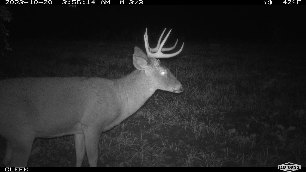 0 Wheat Hollow Road Cazenovia, WI 53924 - Photo 70 of 86