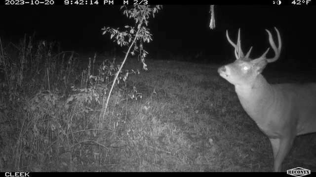 $530,000 | 0 Wheat Hollow Road, Cazenovia, WI 53924