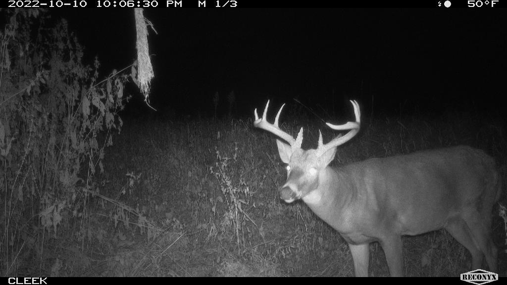 0 Wheat Hollow Road Cazenovia, WI 53924 - Photo 72 of 86