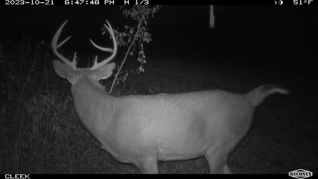 0 Wheat Hollow Road Cazenovia, WI 53924 - Photo 73 of 86