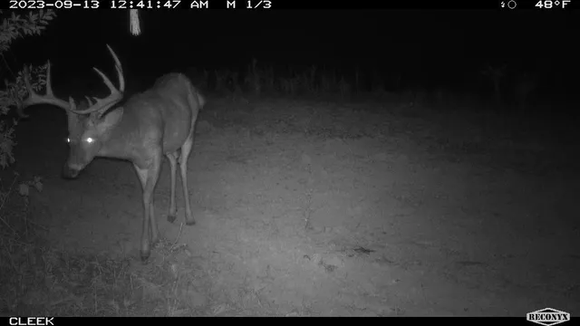 $530,000 | 0 Wheat Hollow Road, Cazenovia, WI 53924