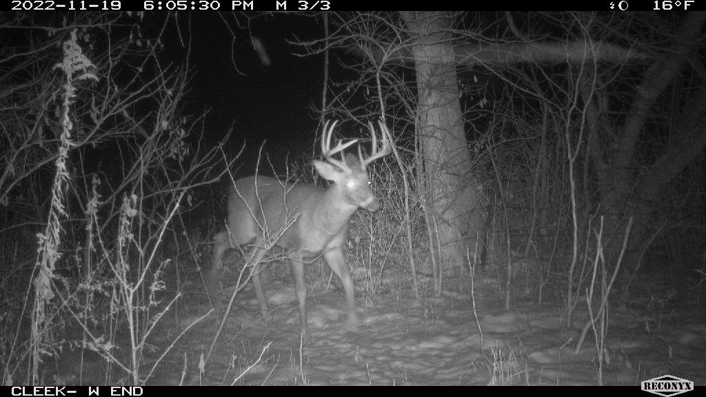 0 Wheat Hollow Road Cazenovia, WI 53924 - Photo 75 of 86