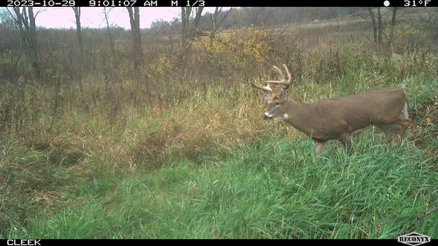 $530,000 | 0 Wheat Hollow Road, Cazenovia, WI 53924