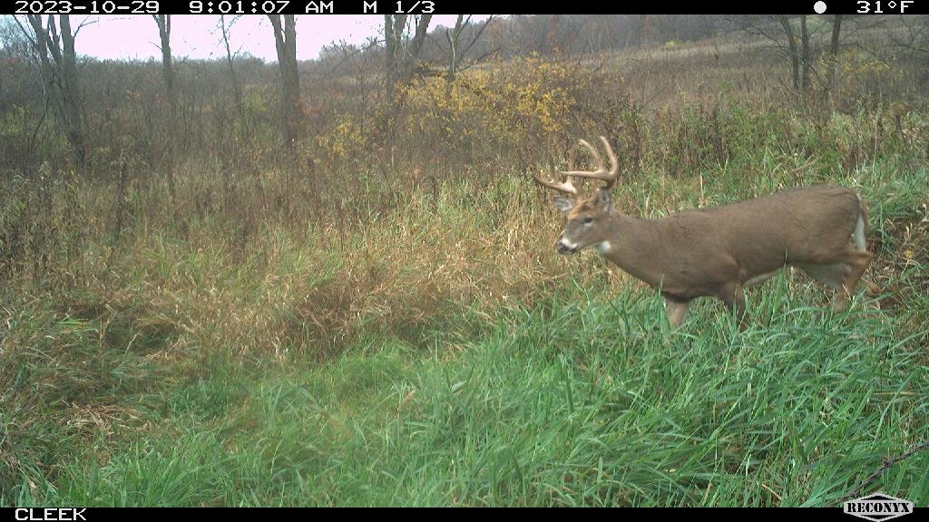 0 Wheat Hollow Road Cazenovia, WI 53924 - Photo 76 of 86
