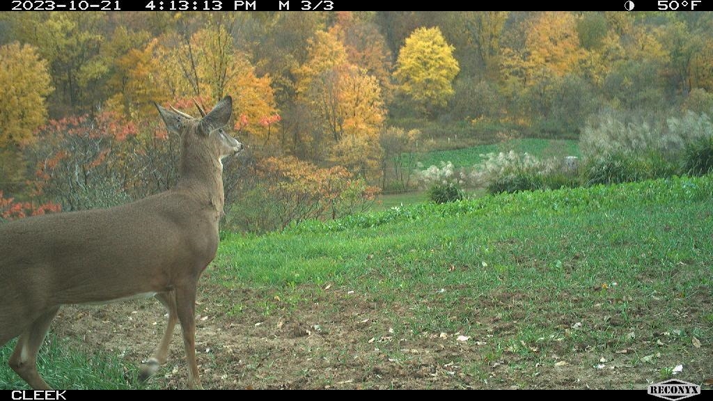 0 Wheat Hollow Road Cazenovia, WI 53924 - Photo 77 of 86