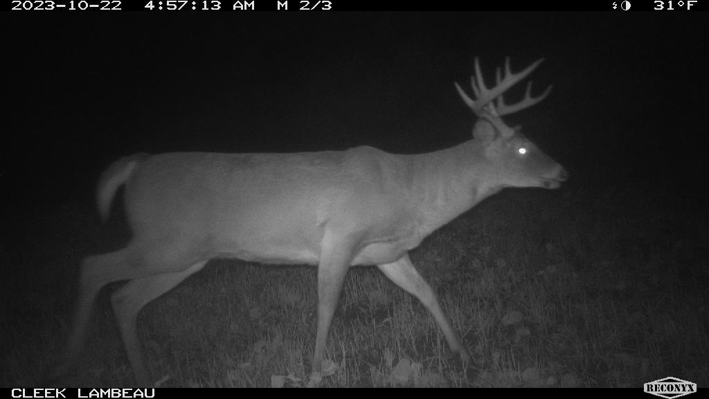 0 Wheat Hollow Road Cazenovia, WI 53924 - Photo 78 of 86