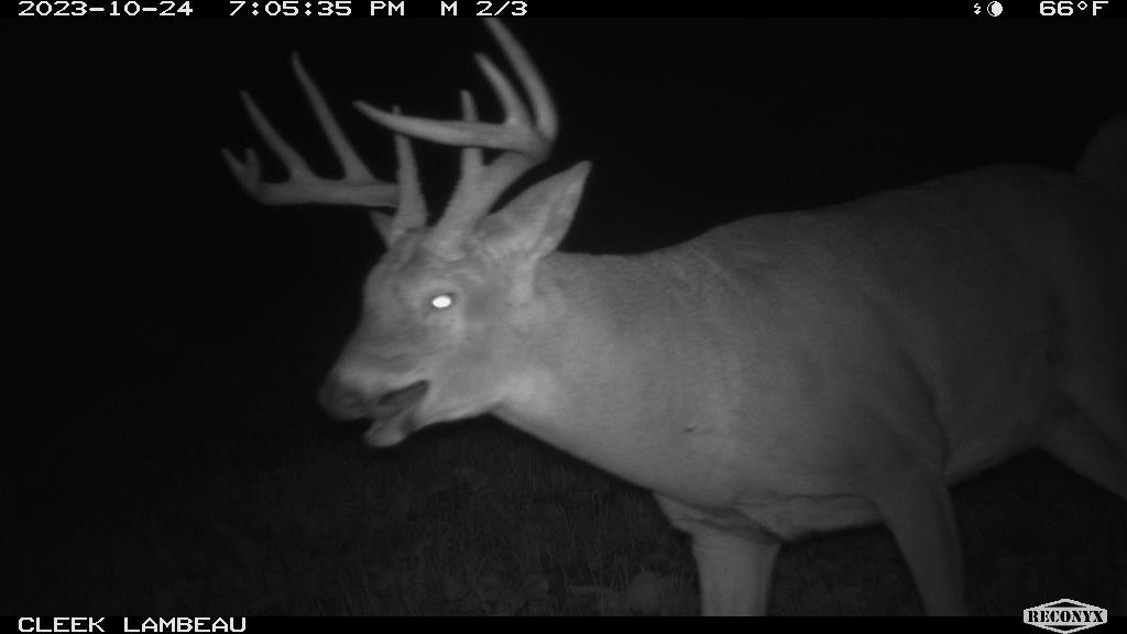 0 Wheat Hollow Road Cazenovia, WI 53924 - Photo 79 of 86