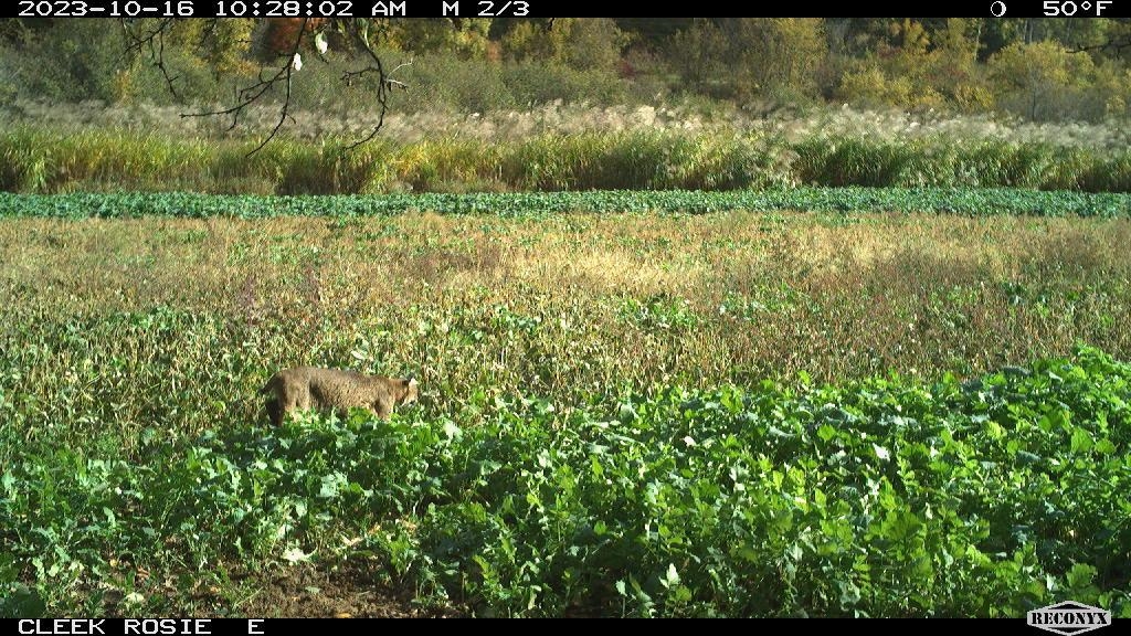 0 Wheat Hollow Road Cazenovia, WI 53924 - Photo 80 of 86