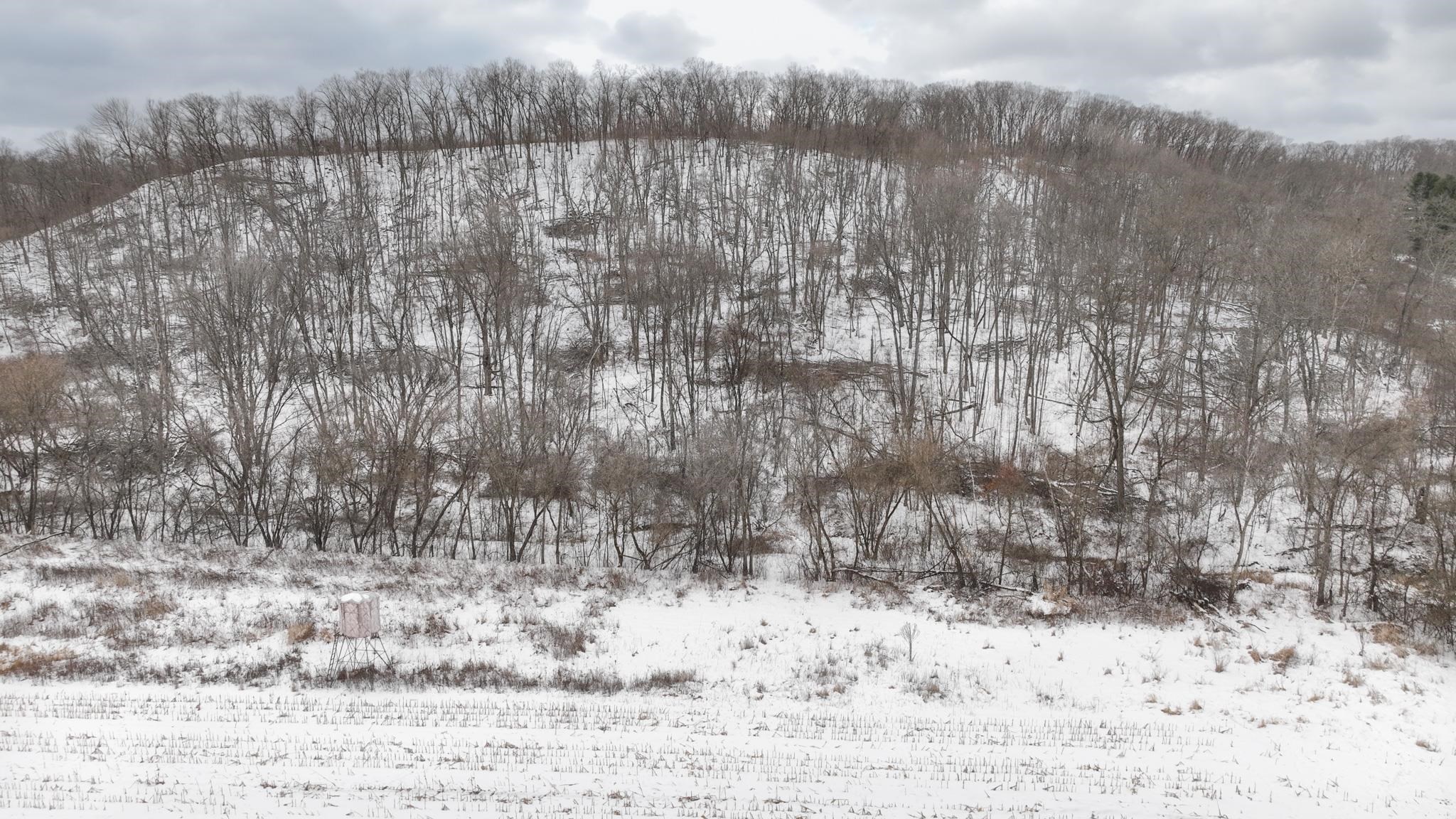 0 Wheat Hollow Road Cazenovia, WI 53924 - Photo 8 of 86