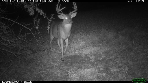 0 Wheat Hollow Road Cazenovia, WI 53924 - Photo 81 of 86