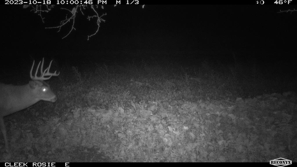 0 Wheat Hollow Road Cazenovia, WI 53924 - Photo 82 of 86