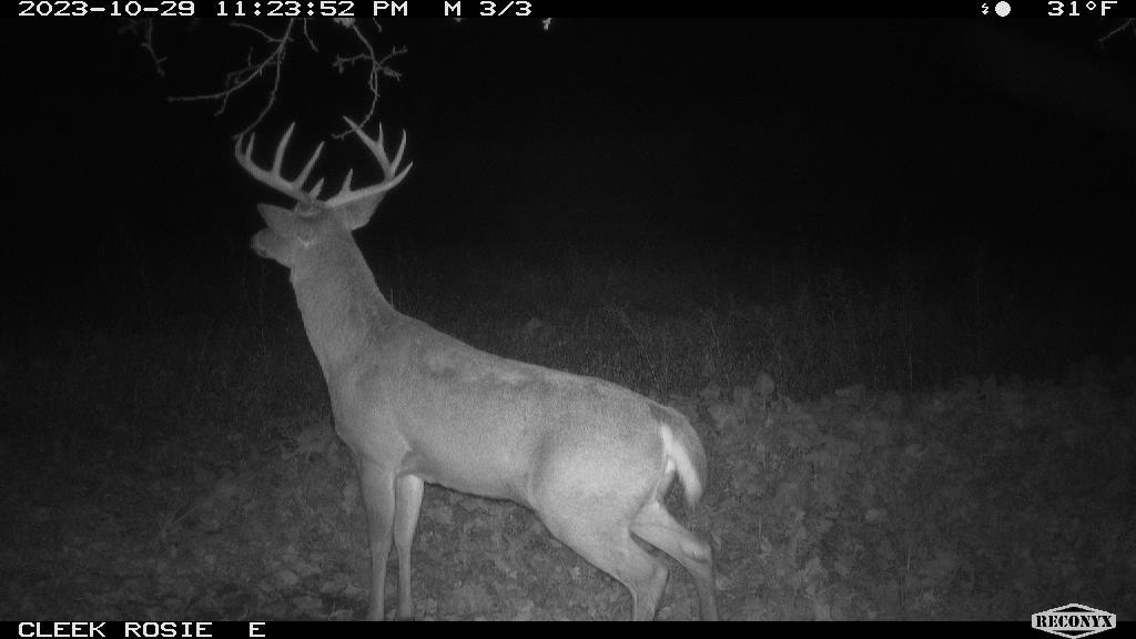 0 Wheat Hollow Road Cazenovia, WI 53924 - Photo 83 of 86