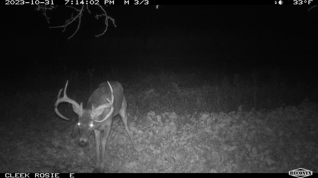 0 Wheat Hollow Road Cazenovia, WI 53924 - Photo 84 of 86