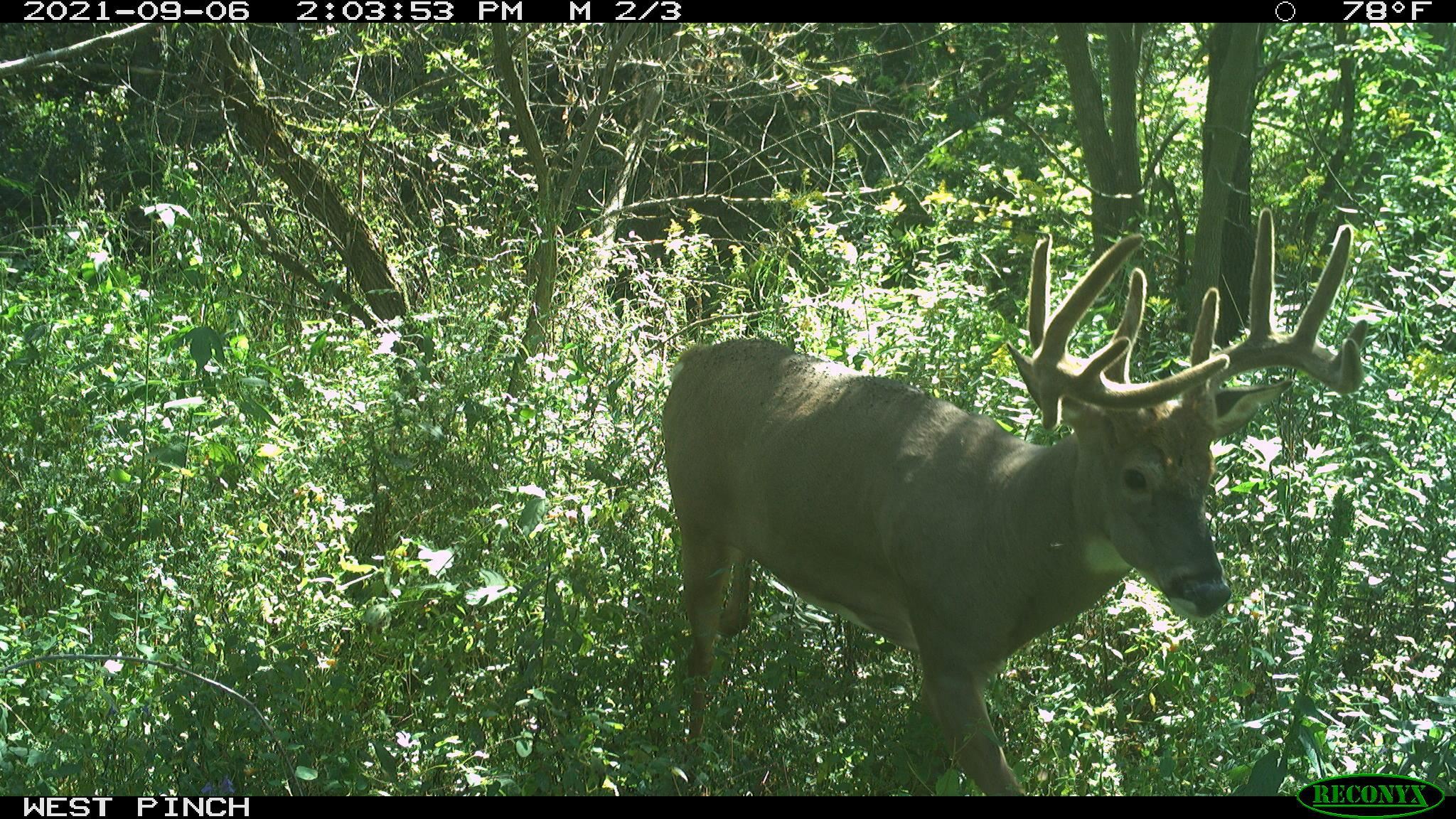 0 Wheat Hollow Road Cazenovia, WI 53924 - Photo 85 of 86