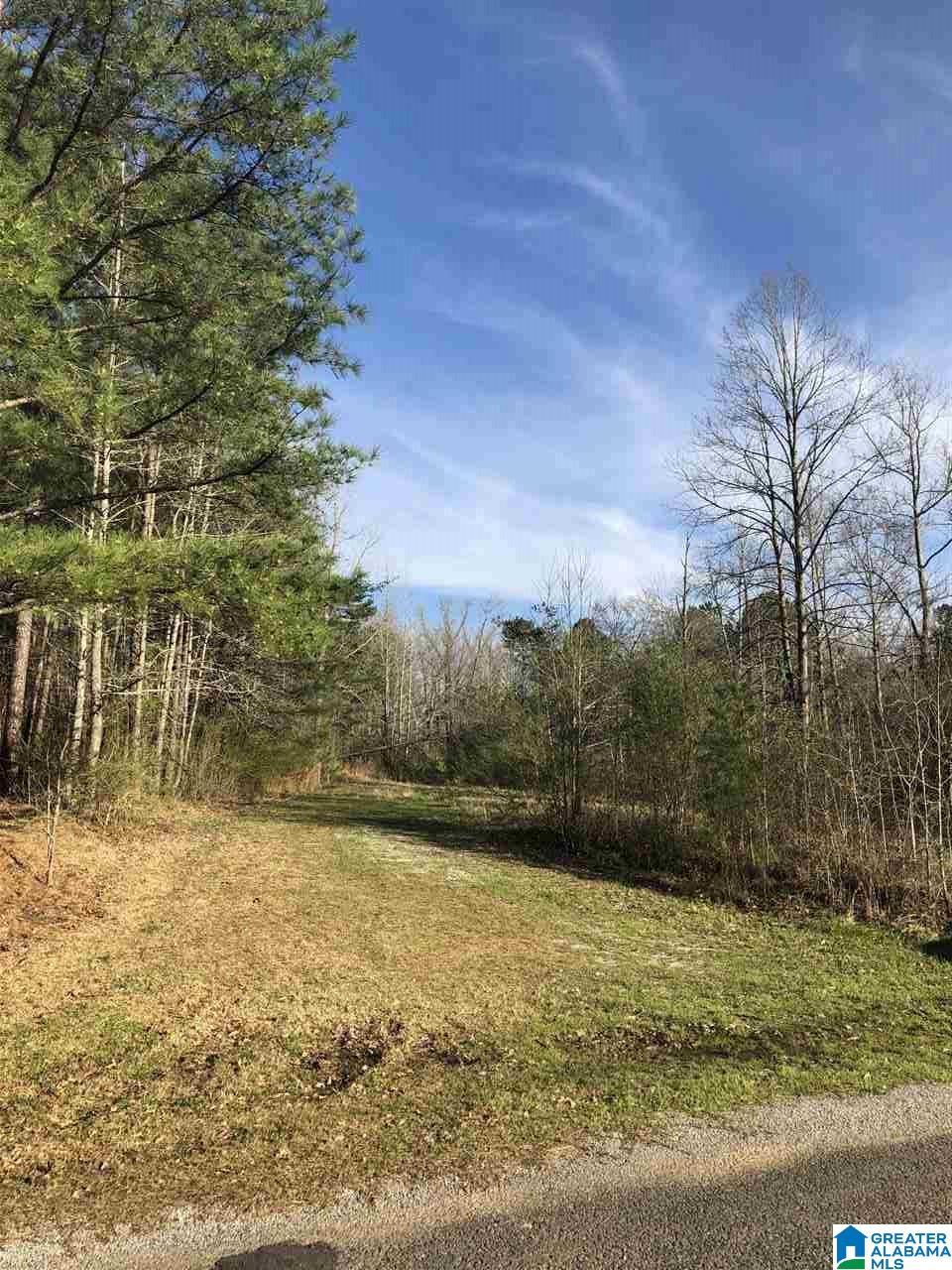 1000 Mulberry Hills Road Hayden, AL 35079 - Photo 2 of 12