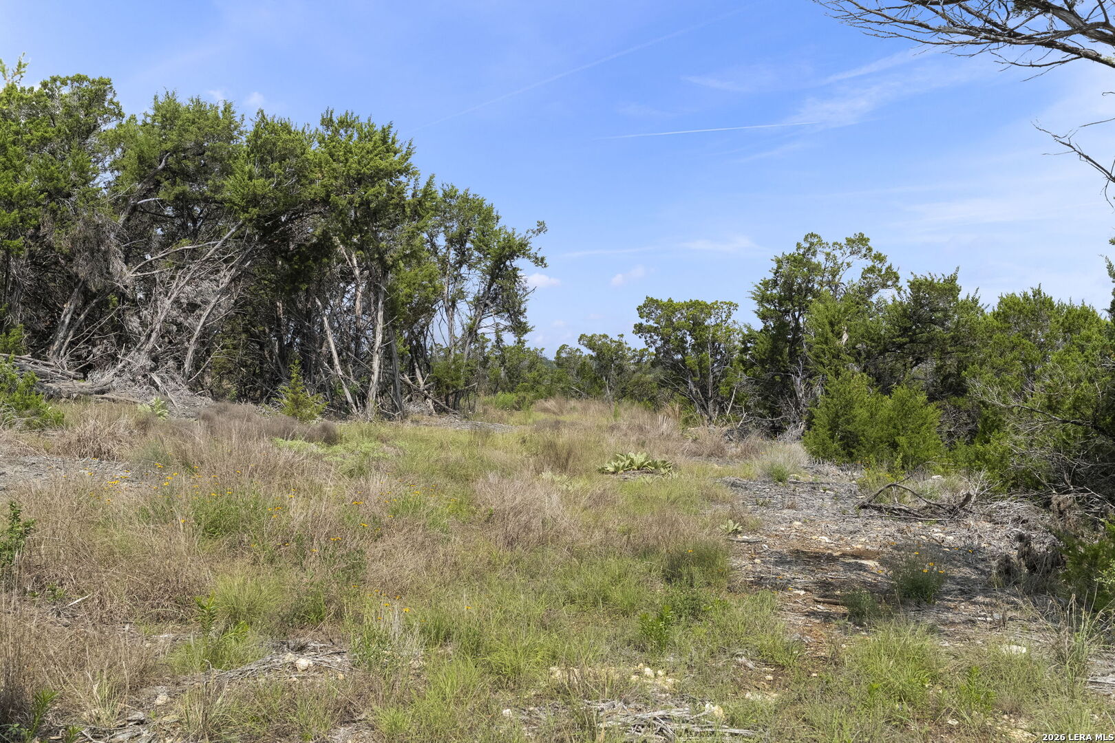 341 Mitchell Drive Spring Branch, TX 78070 - Photo 11 of 33
