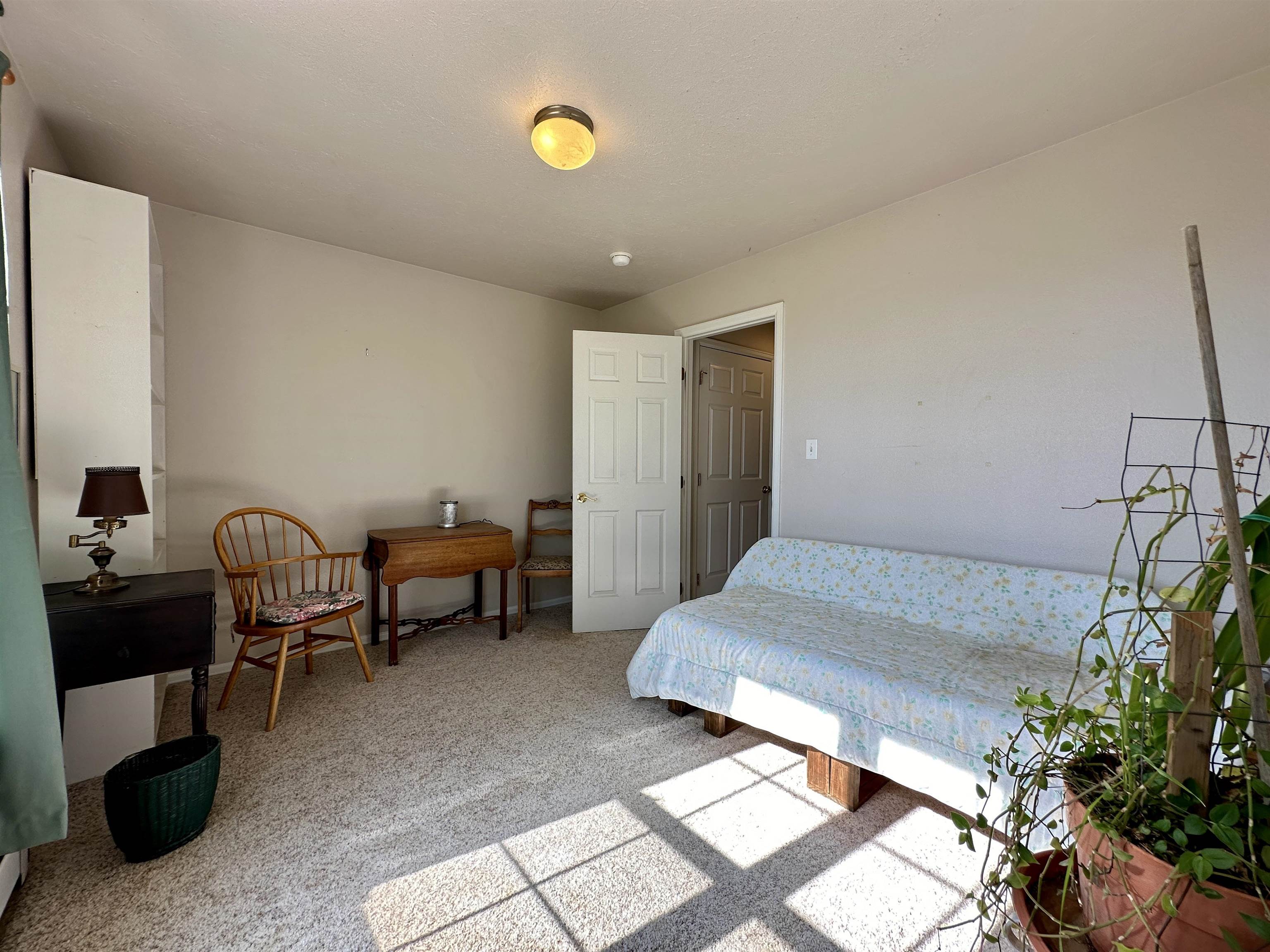 881 22 Road Grand Junction, CO 81505 - Photo 13 of 36 a living room with furniture and a potted plant