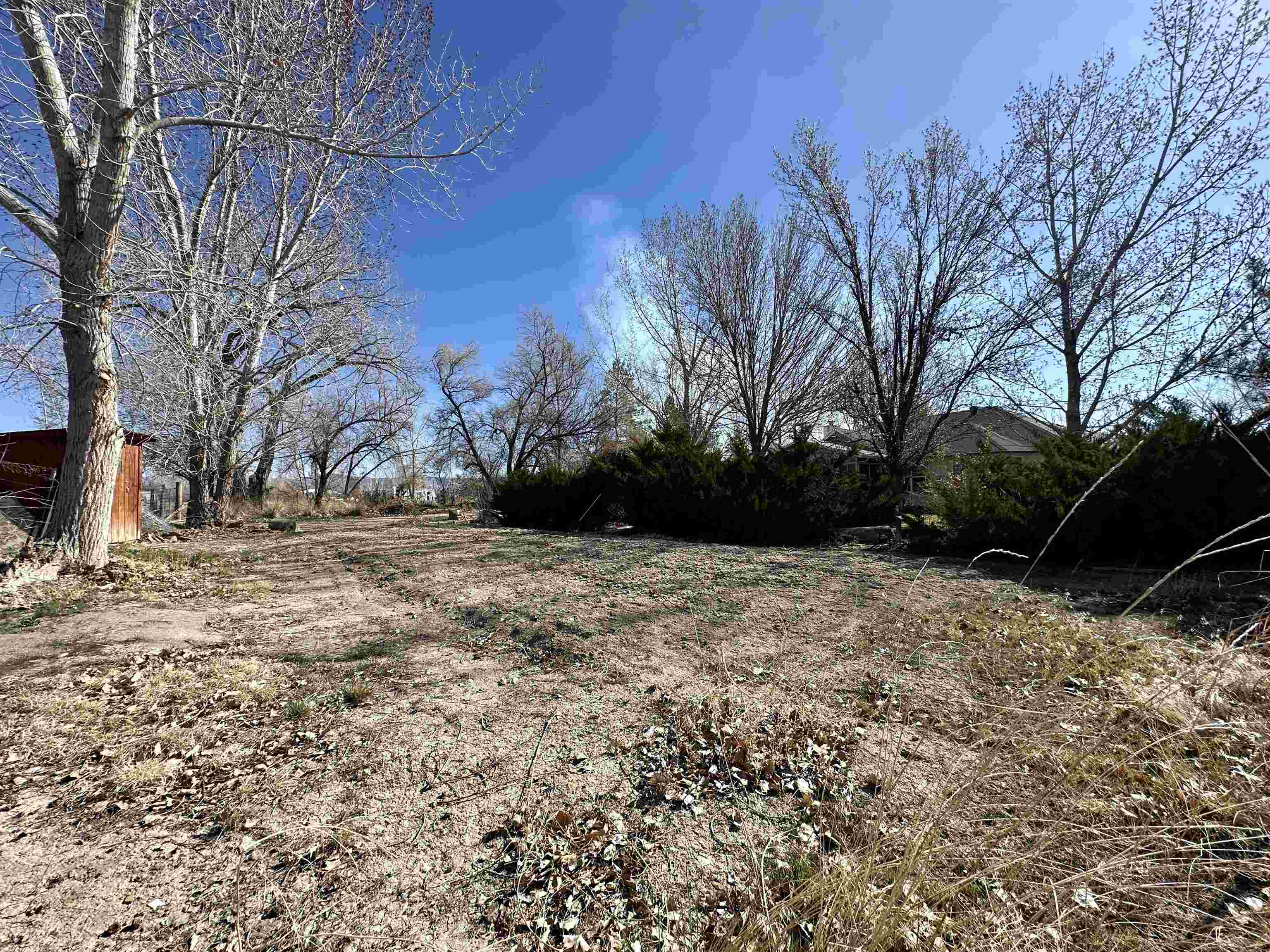 881 22 Road Grand Junction, CO 81505 - Photo 28 of 36 a view of yard covered with snow in front of house