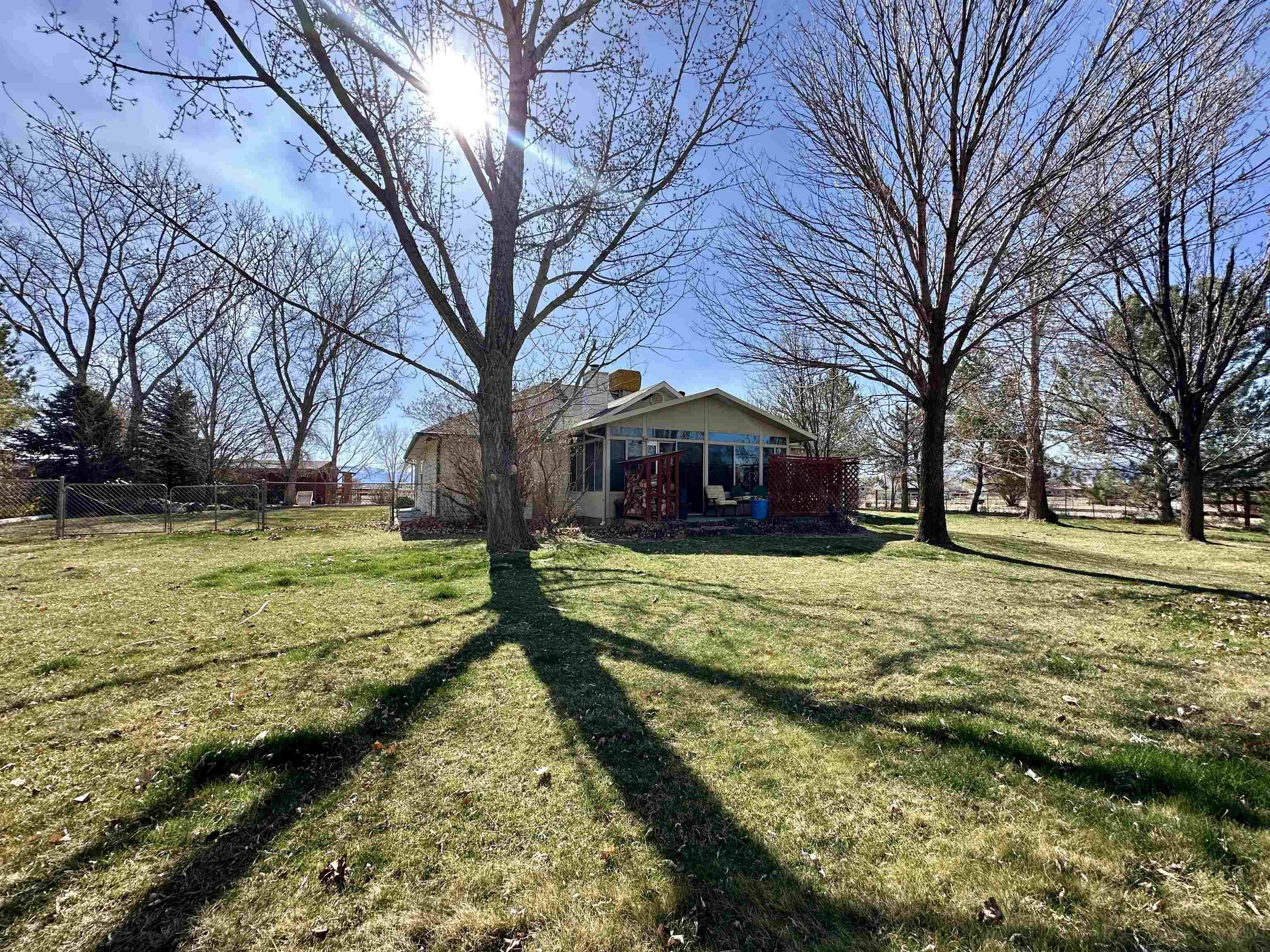 881 22 Road Grand Junction, CO 81505 - Photo 30 of 36 a large tree in front of a brick house with large trees