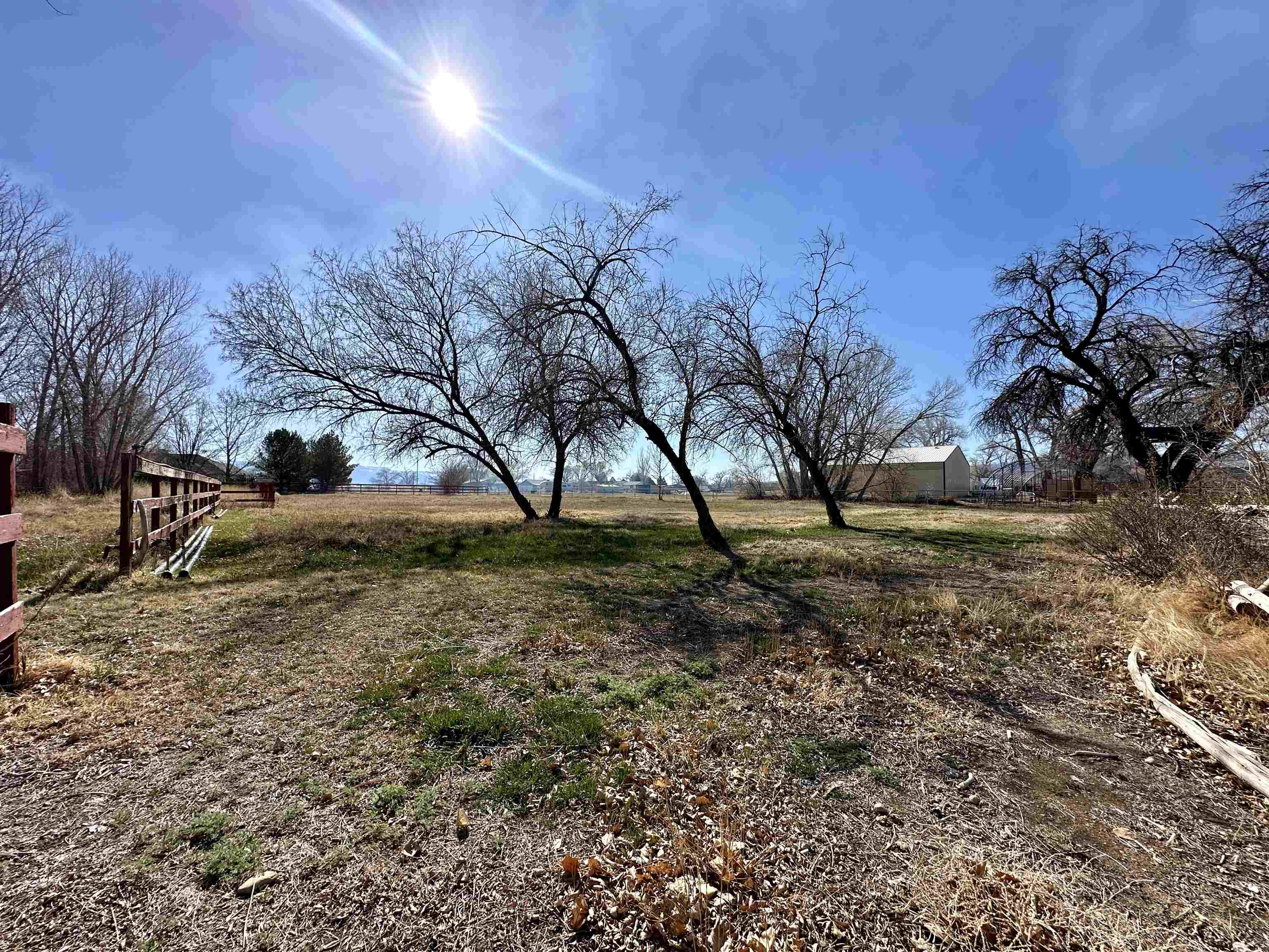 881 22 Road Grand Junction, CO 81505 - Photo 33 of 36 a view of yard with tree in the background