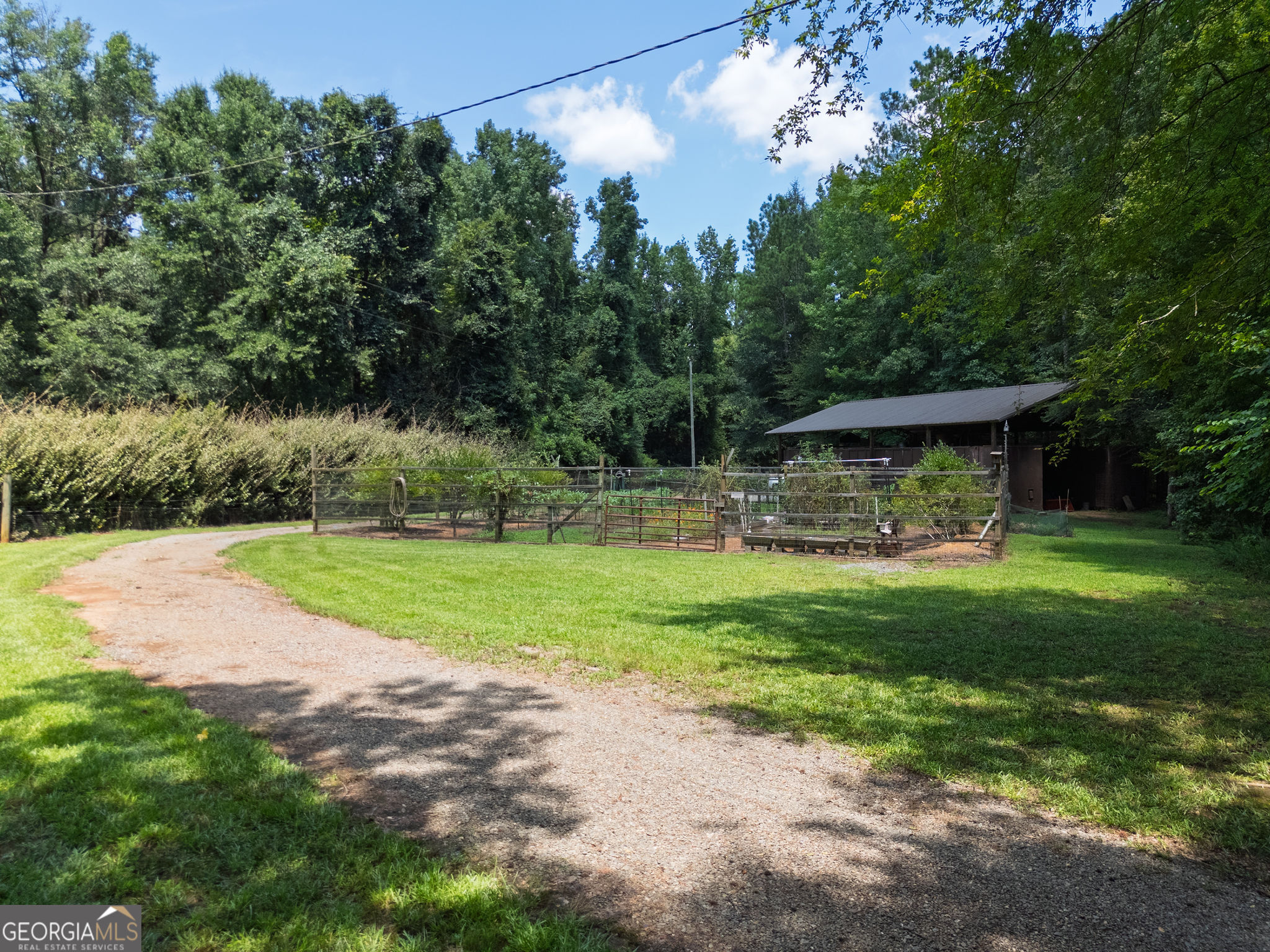 1638 Minor Road Culloden, GA 31016 - Photo 115 of 144 a view of a yard with plants and large trees