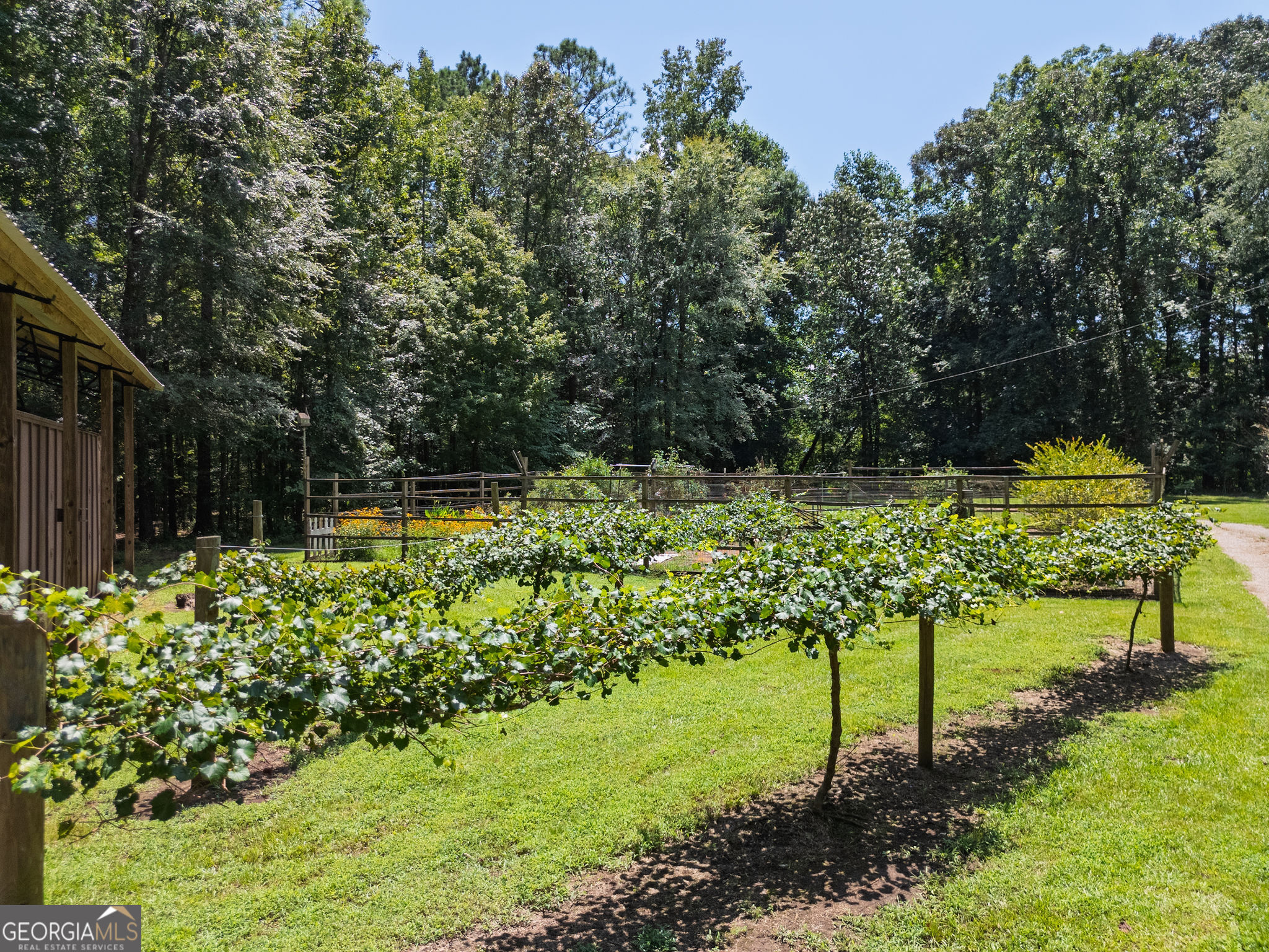 1638 Minor Road Culloden, GA 31016 - Photo 116 of 144 a view of a garden with a bench