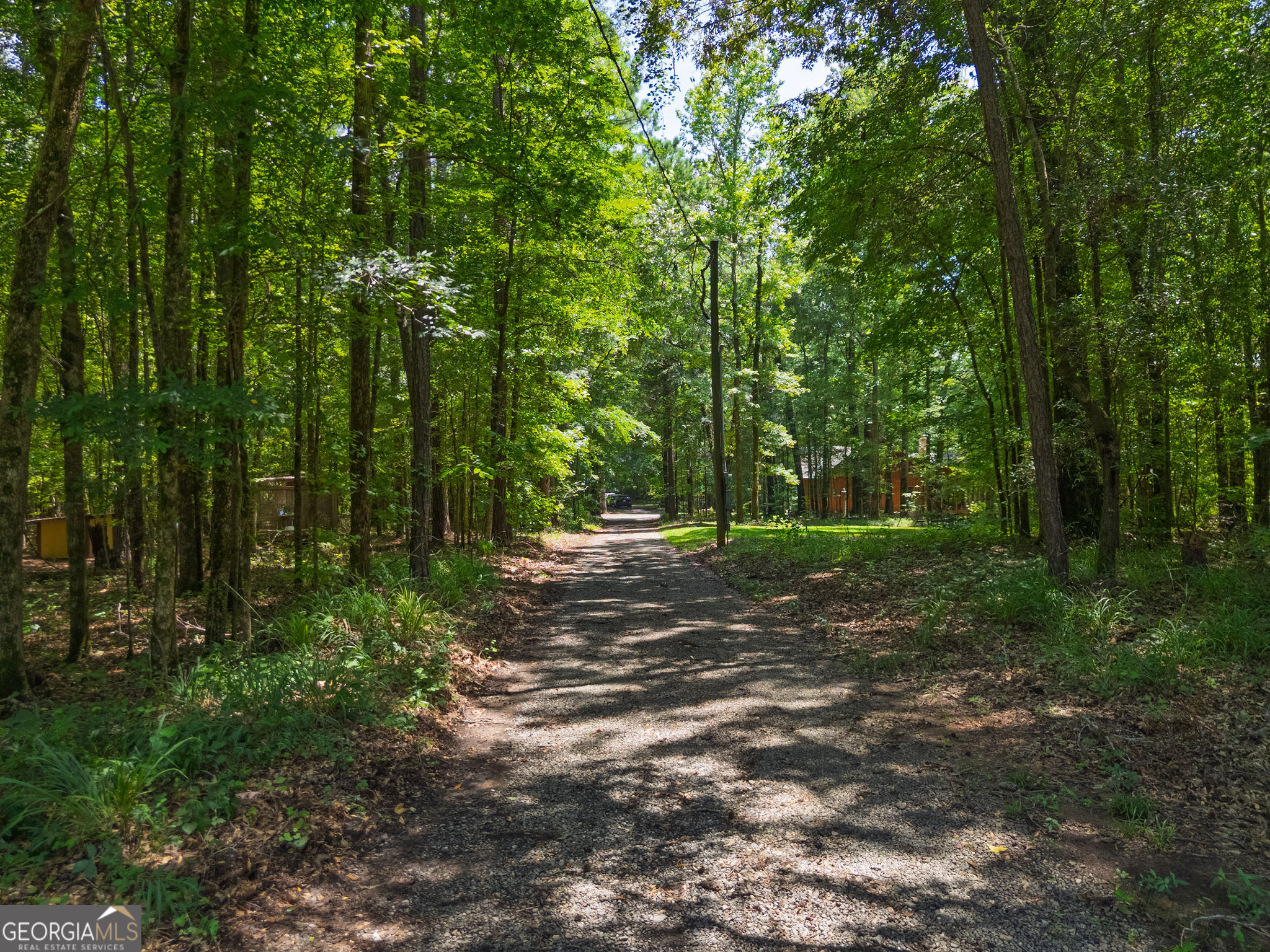 1638 Minor Road Culloden, GA 31016 - Photo 123 of 144 a view of backyard with green space
