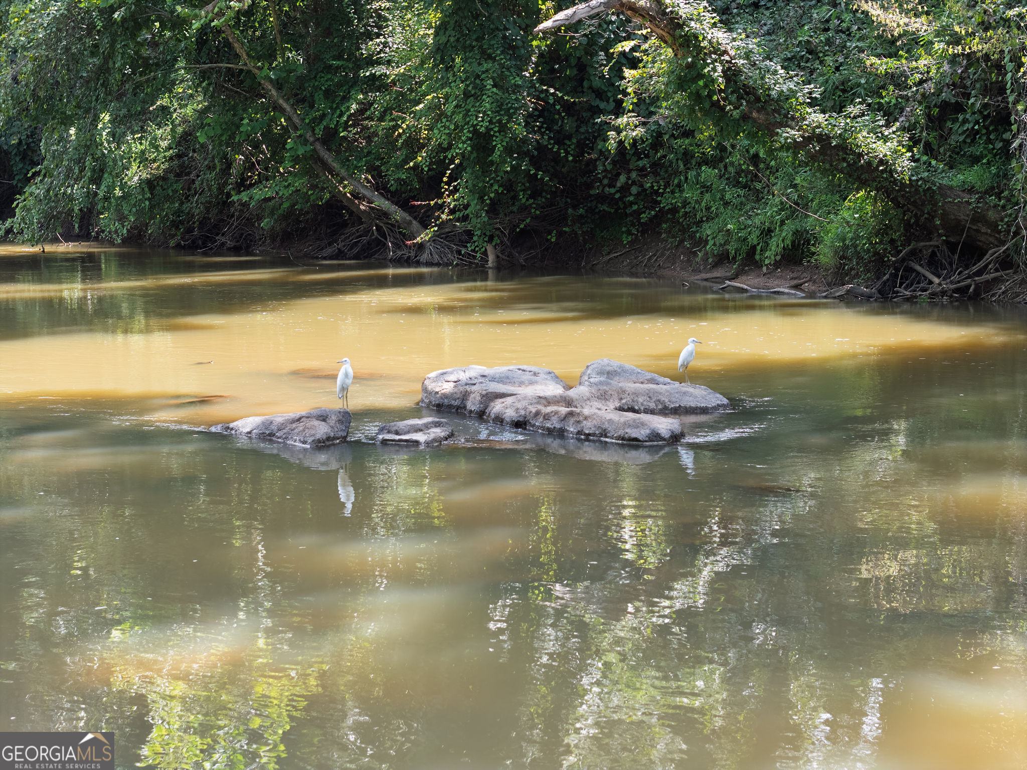 1638 Minor Road Culloden, GA 31016 - Photo 16 of 144