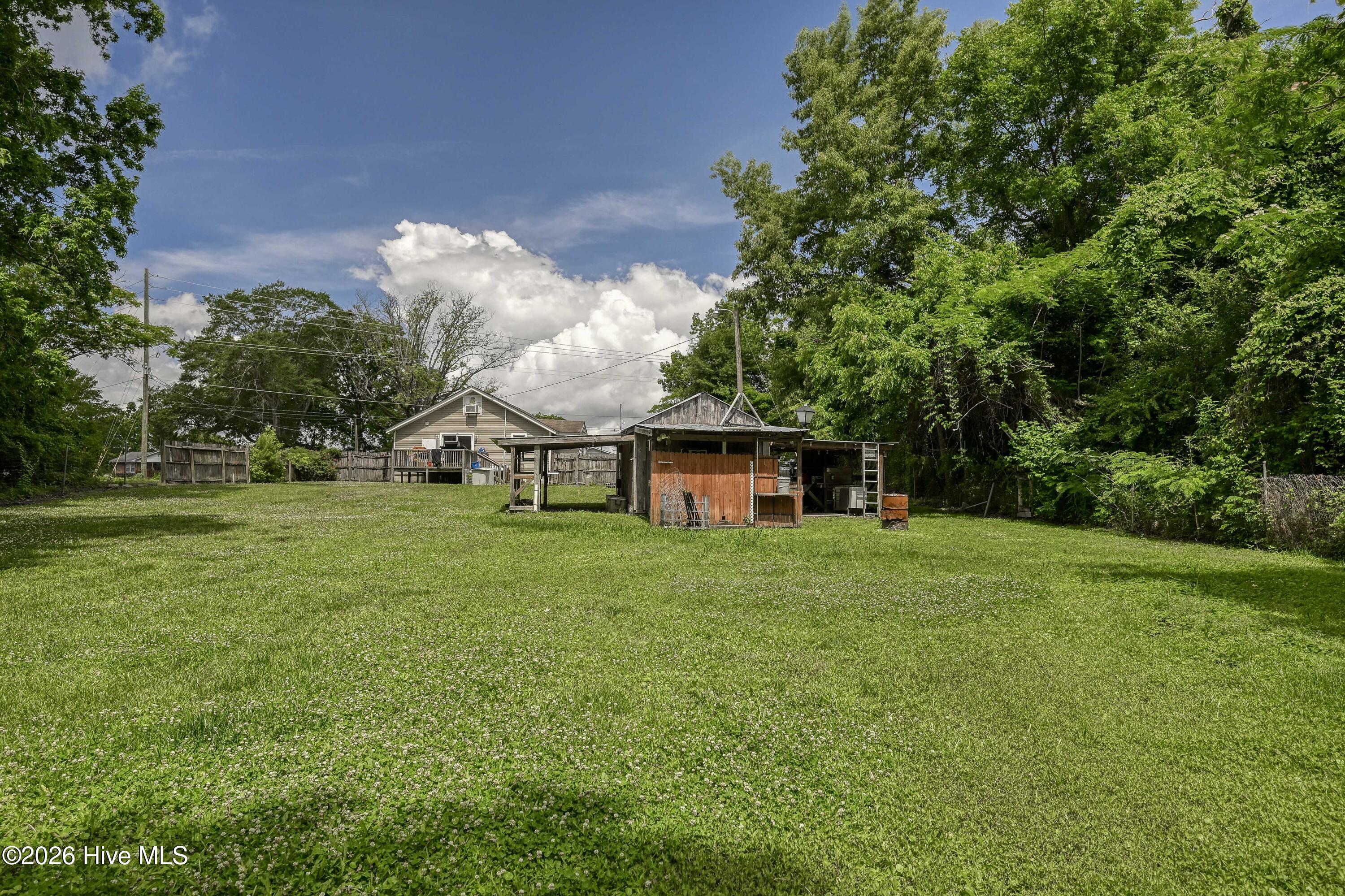 298 Comfort Road Richlands, NC 28574 - Photo 33 of 44 Back yard 2