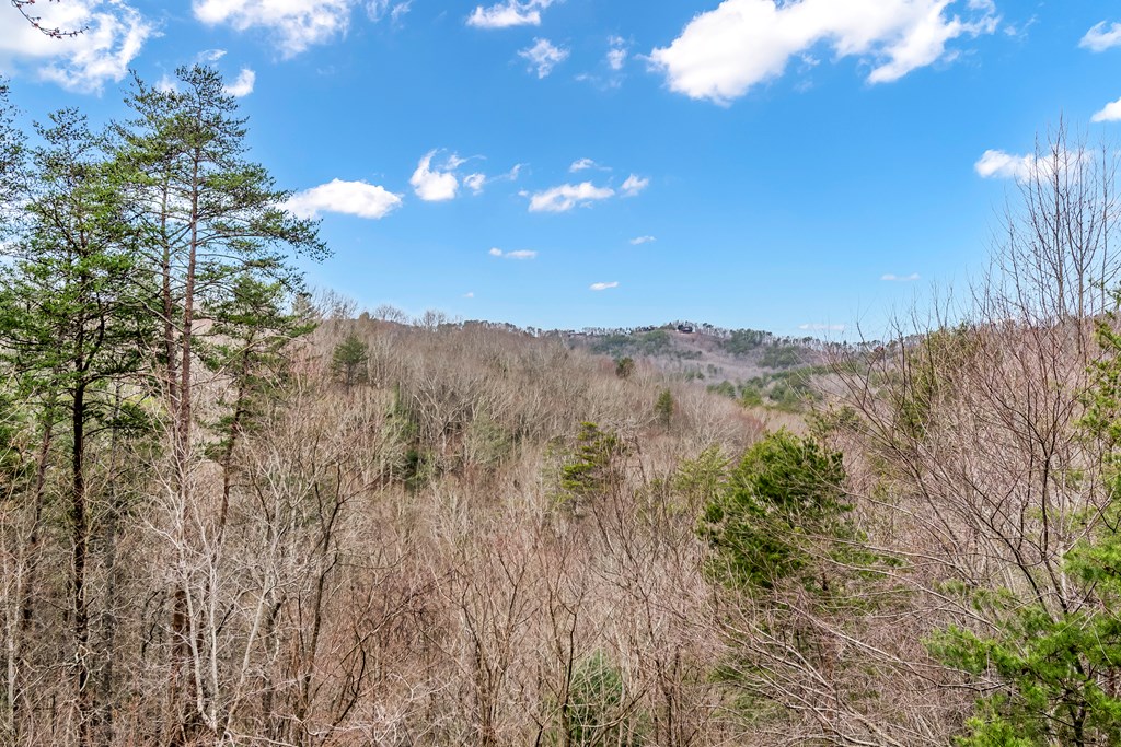 3680 Aska Road Blue Ridge, GA 30513 - Photo 4 of 42
