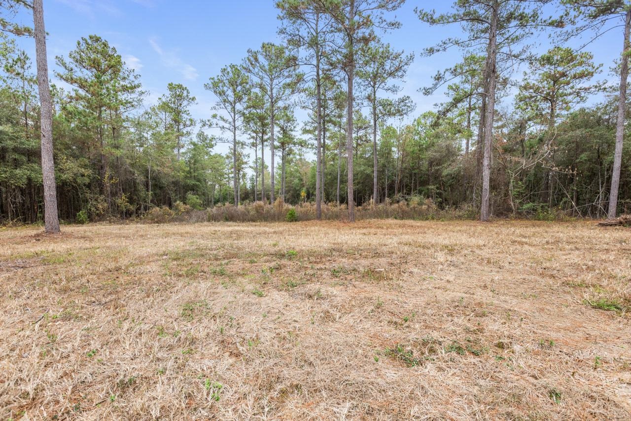 81 Old Tung Grv Road Monticello, FL 32344 - Photo 5 of 40