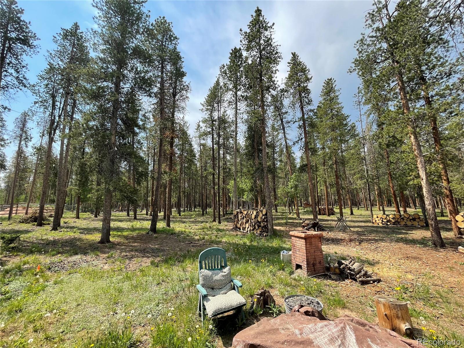 98 County Road 115 Bailey, CO 80421 - Photo 23 of 40