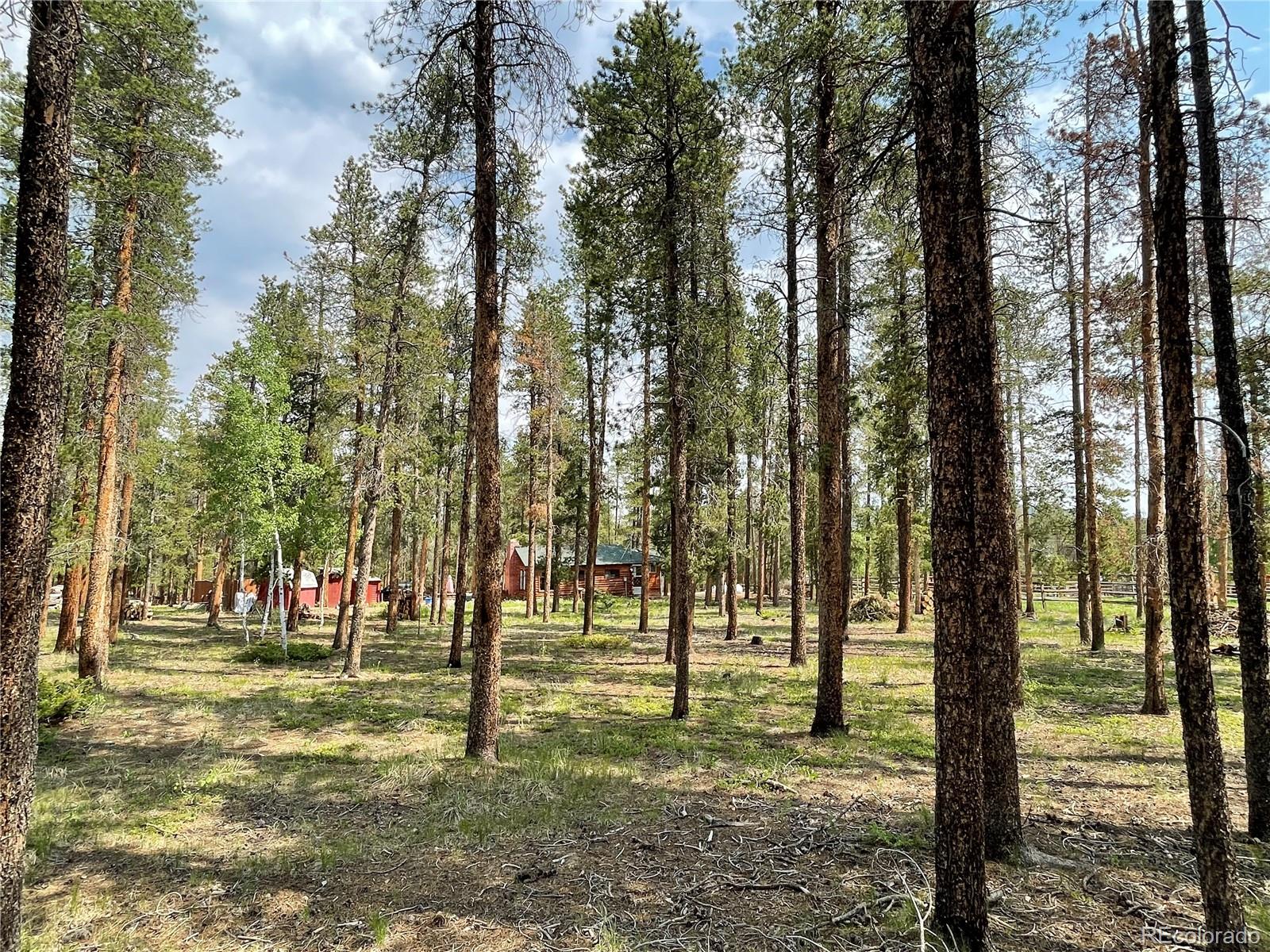 98 County Road 115 Bailey, CO 80421 - Photo 24 of 40