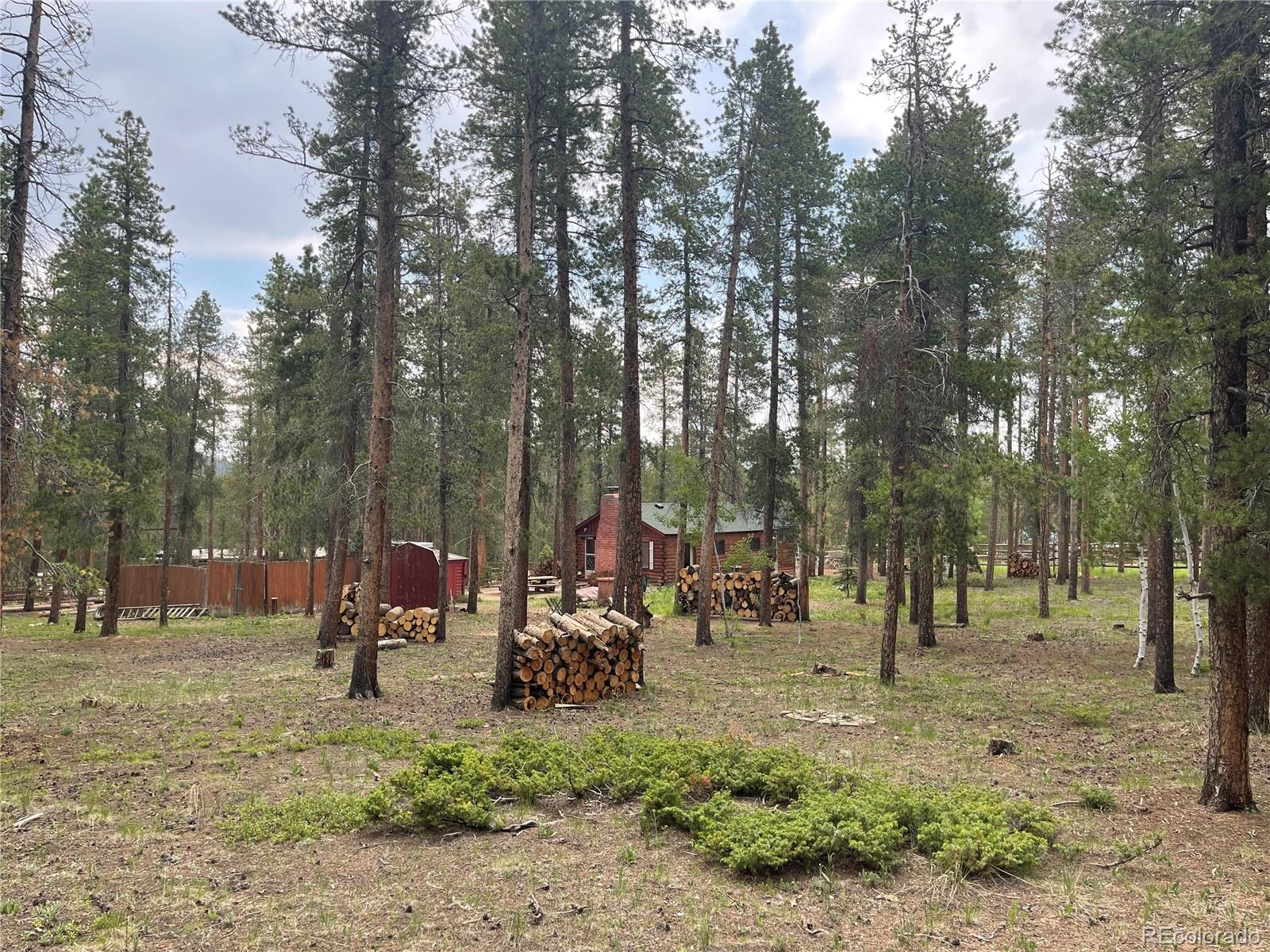 98 County Road 115 Bailey, CO 80421 - Photo 26 of 40