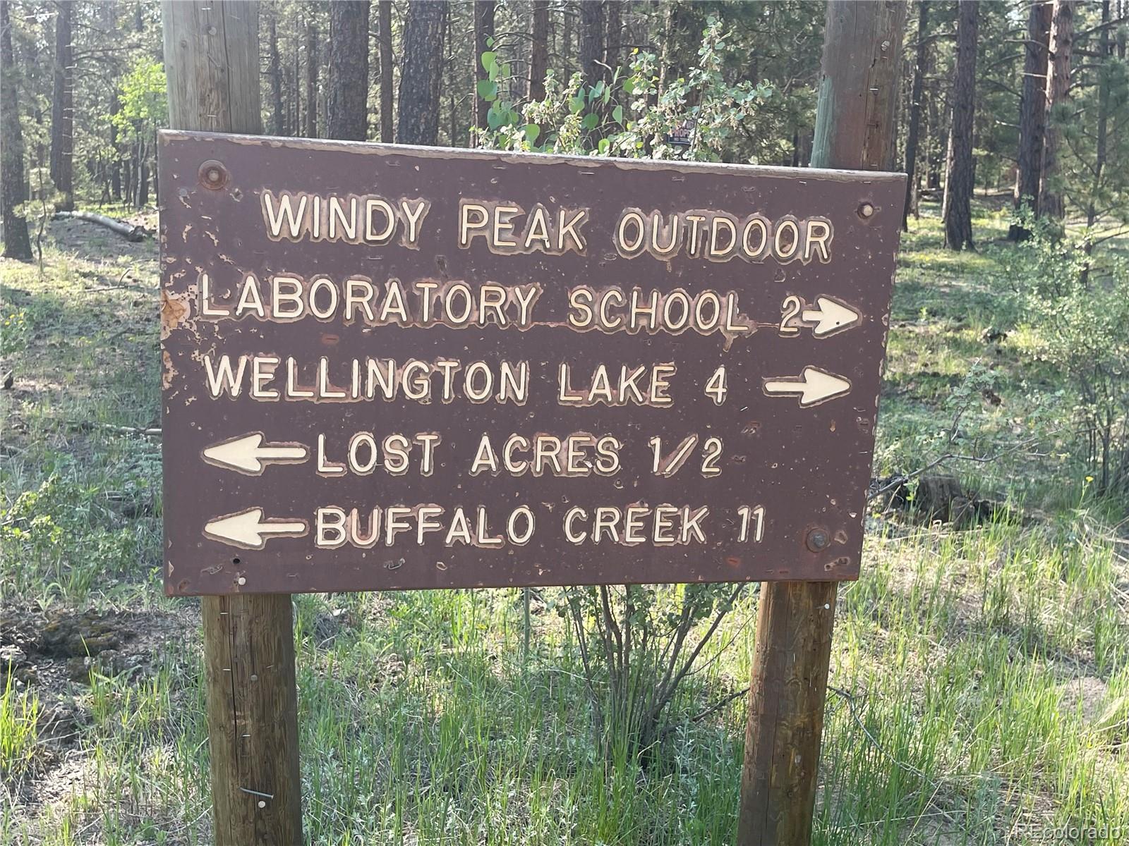 98 County Road 115 Bailey, CO 80421 - Photo 27 of 40
