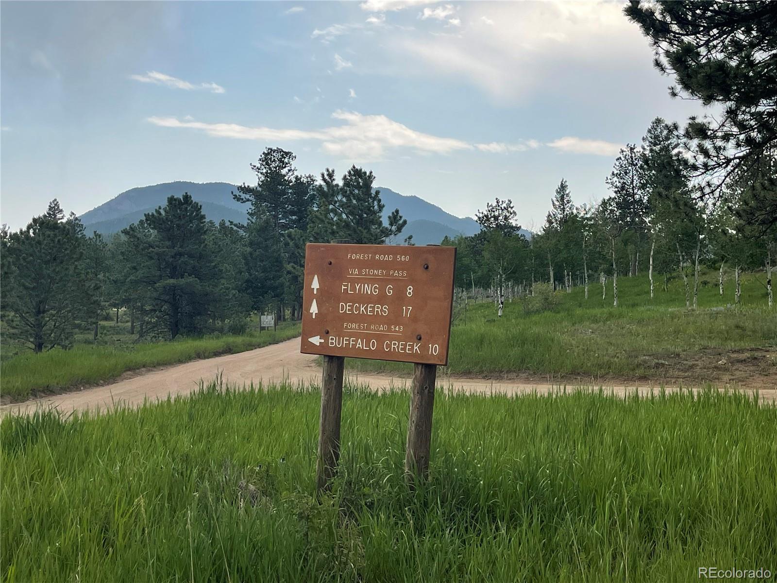 98 County Road 115 Bailey, CO 80421 - Photo 28 of 40