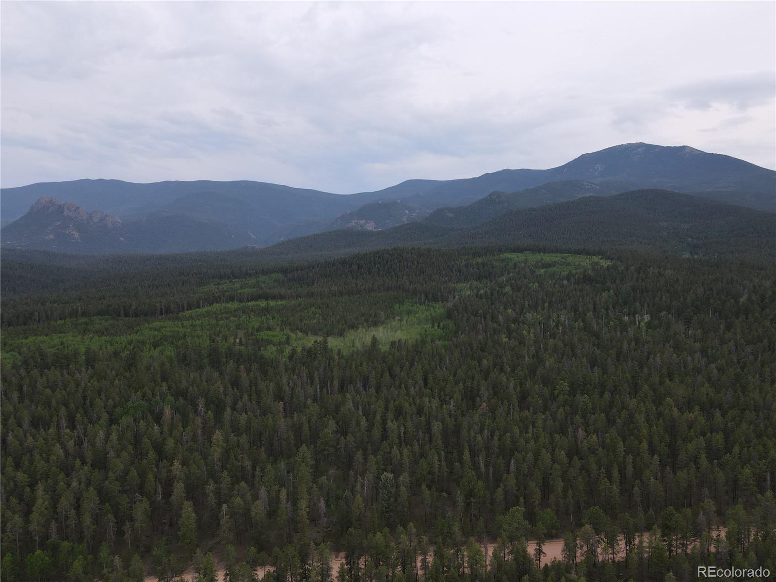 98 County Road 115 Bailey, CO 80421 - Photo 31 of 40