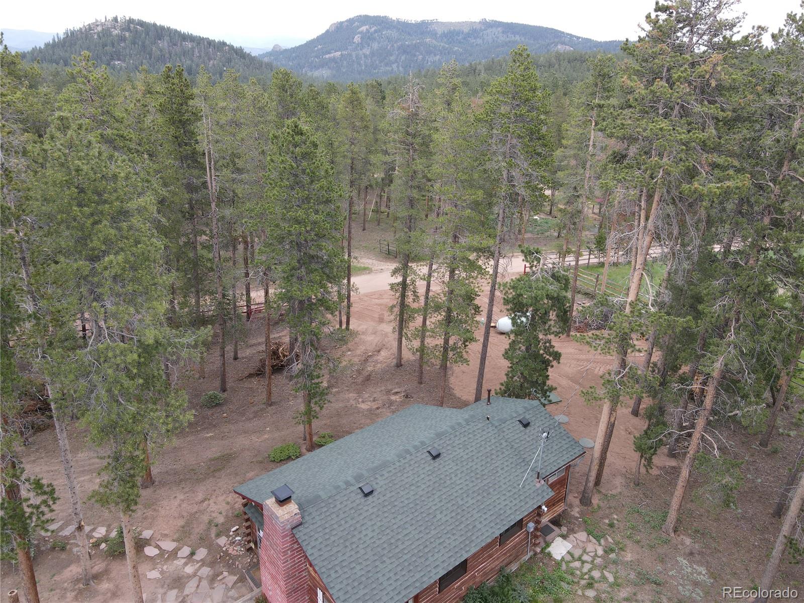98 County Road 115 Bailey, CO 80421 - Photo 33 of 40