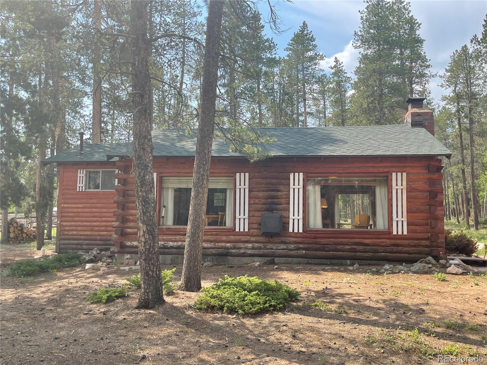 98 County Road 115 Bailey, CO 80421 - Photo 4 of 40