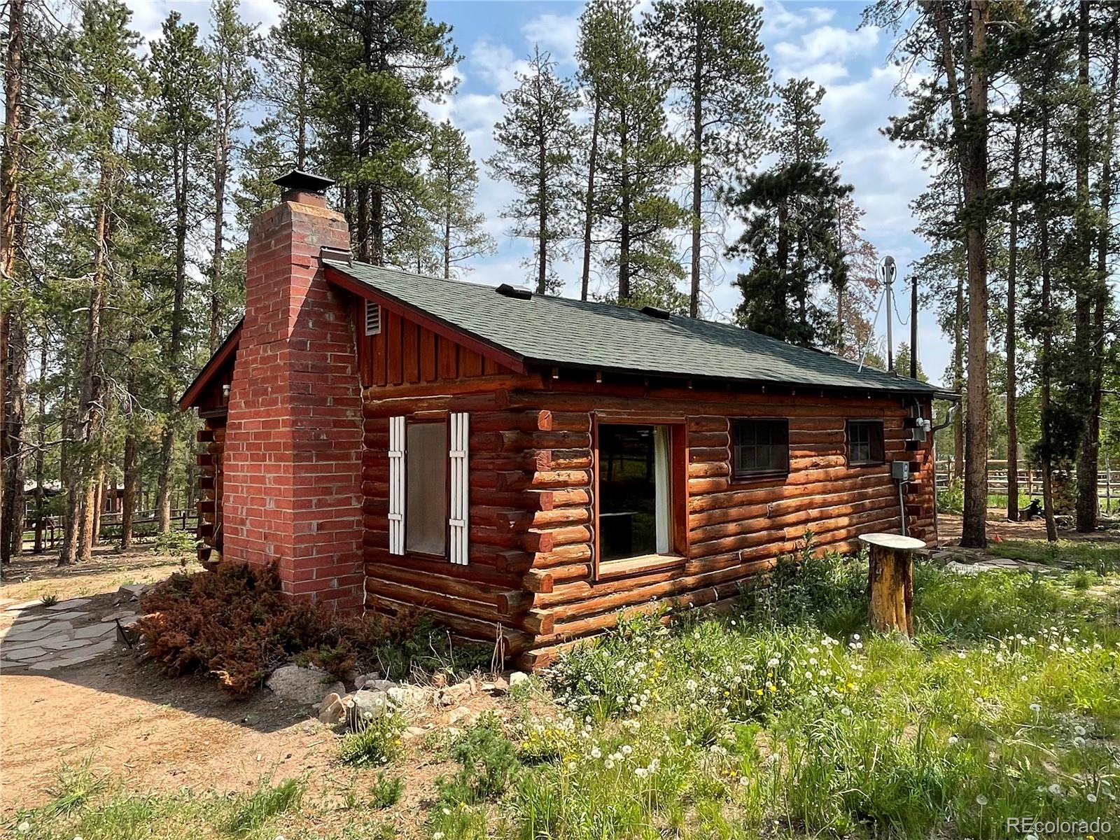 98 County Road 115 Bailey, CO 80421 - Photo 6 of 40