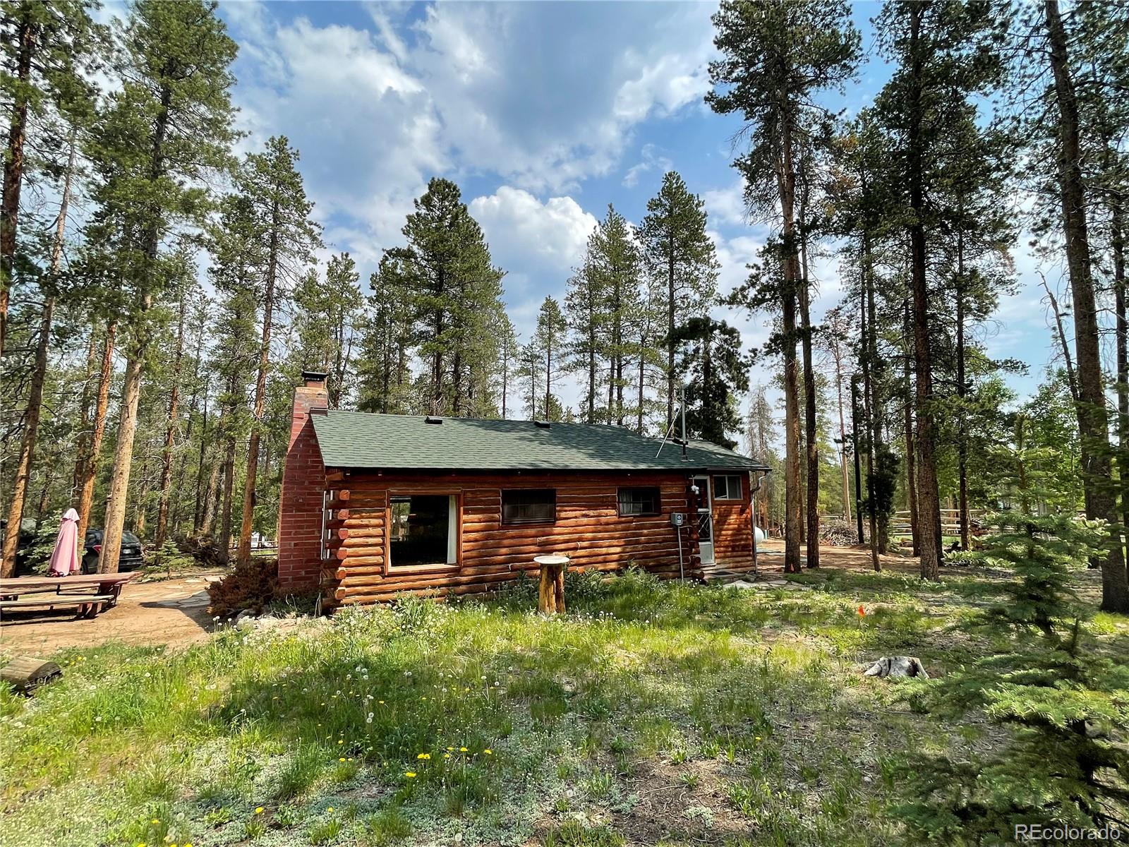 98 County Road 115 Bailey, CO 80421 - Photo 7 of 40