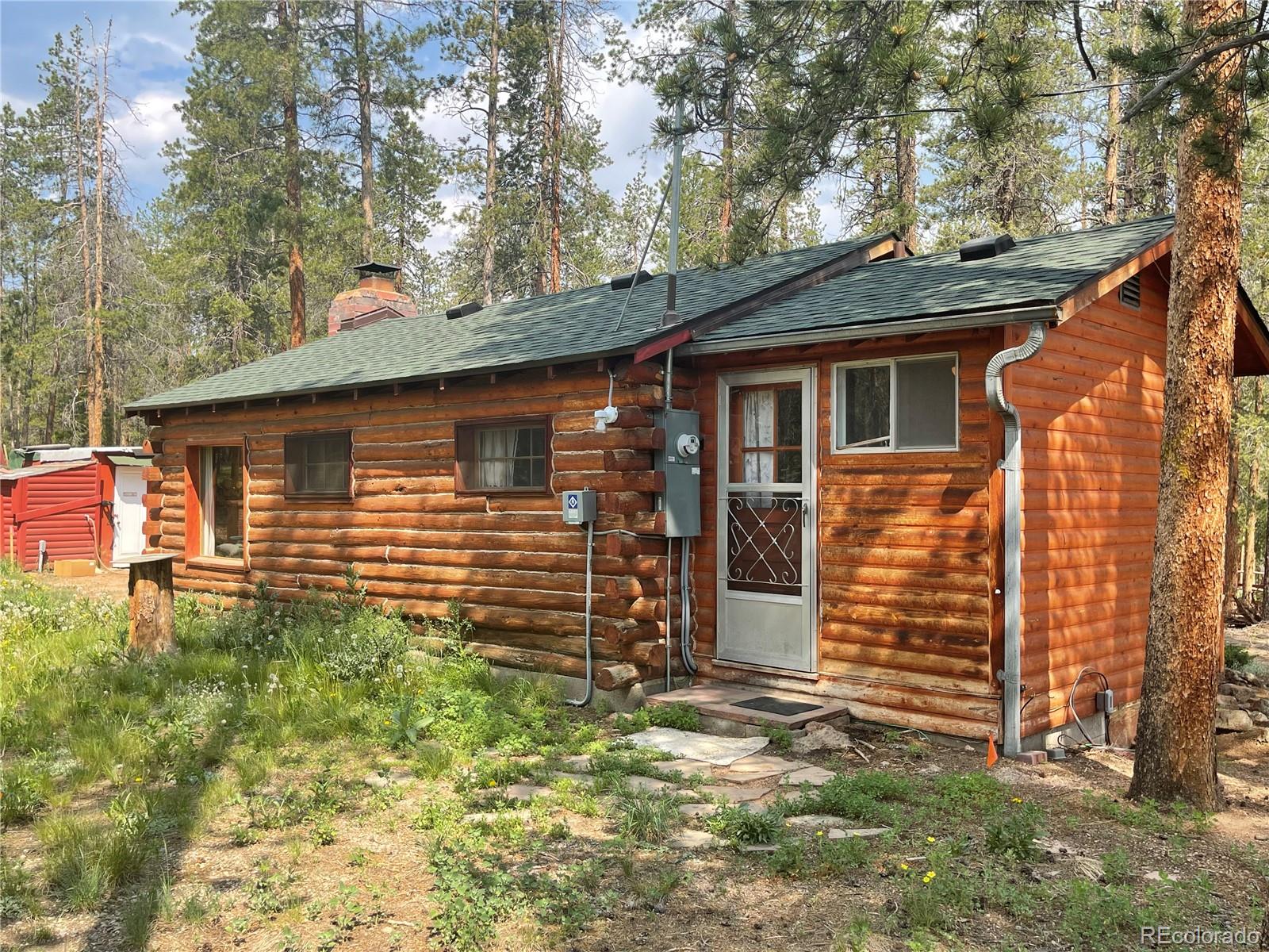 98 County Road 115 Bailey, CO 80421 - Photo 8 of 40