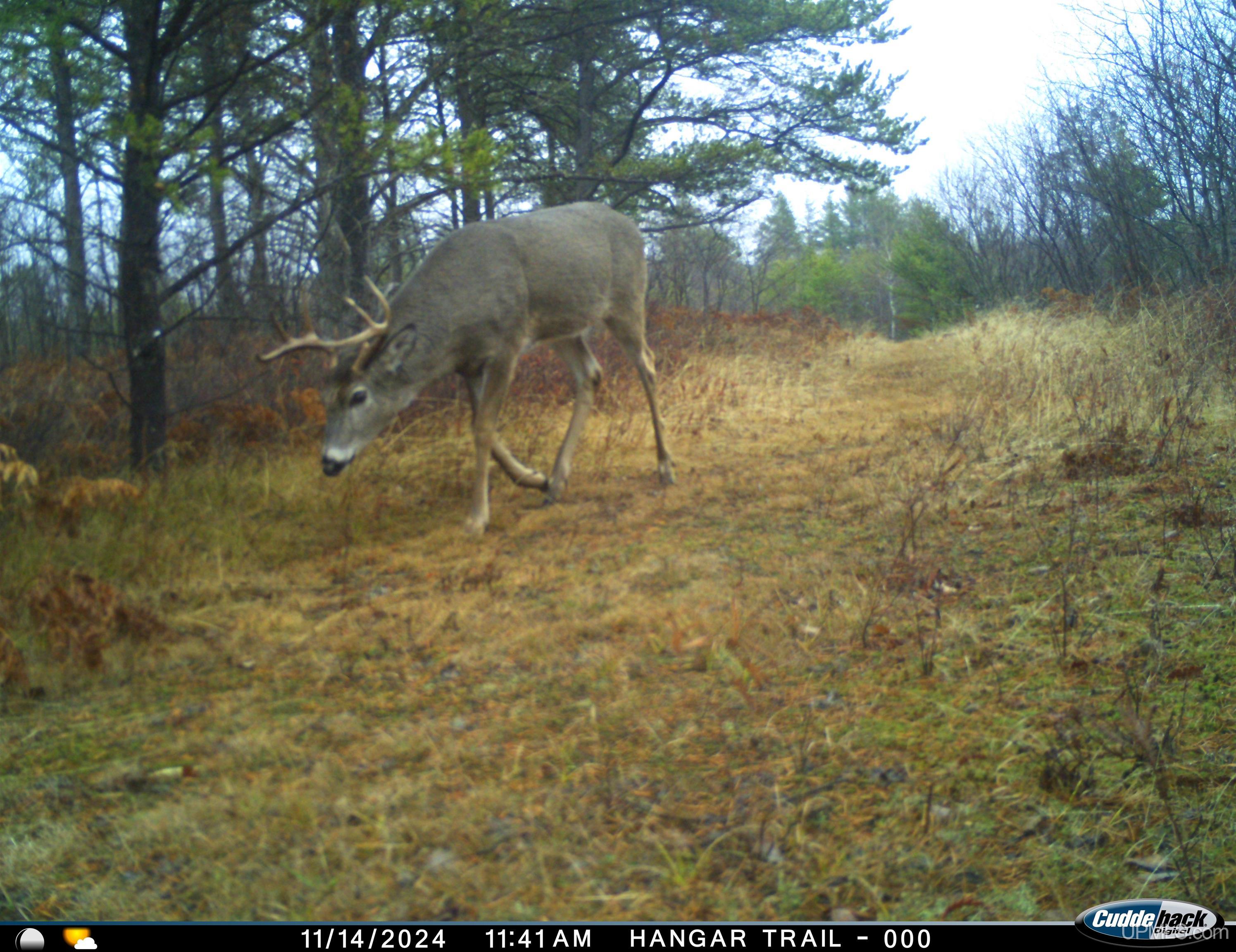 38140 County Road 581 Ishpeming, MI 49849 - Photo 55 of 58