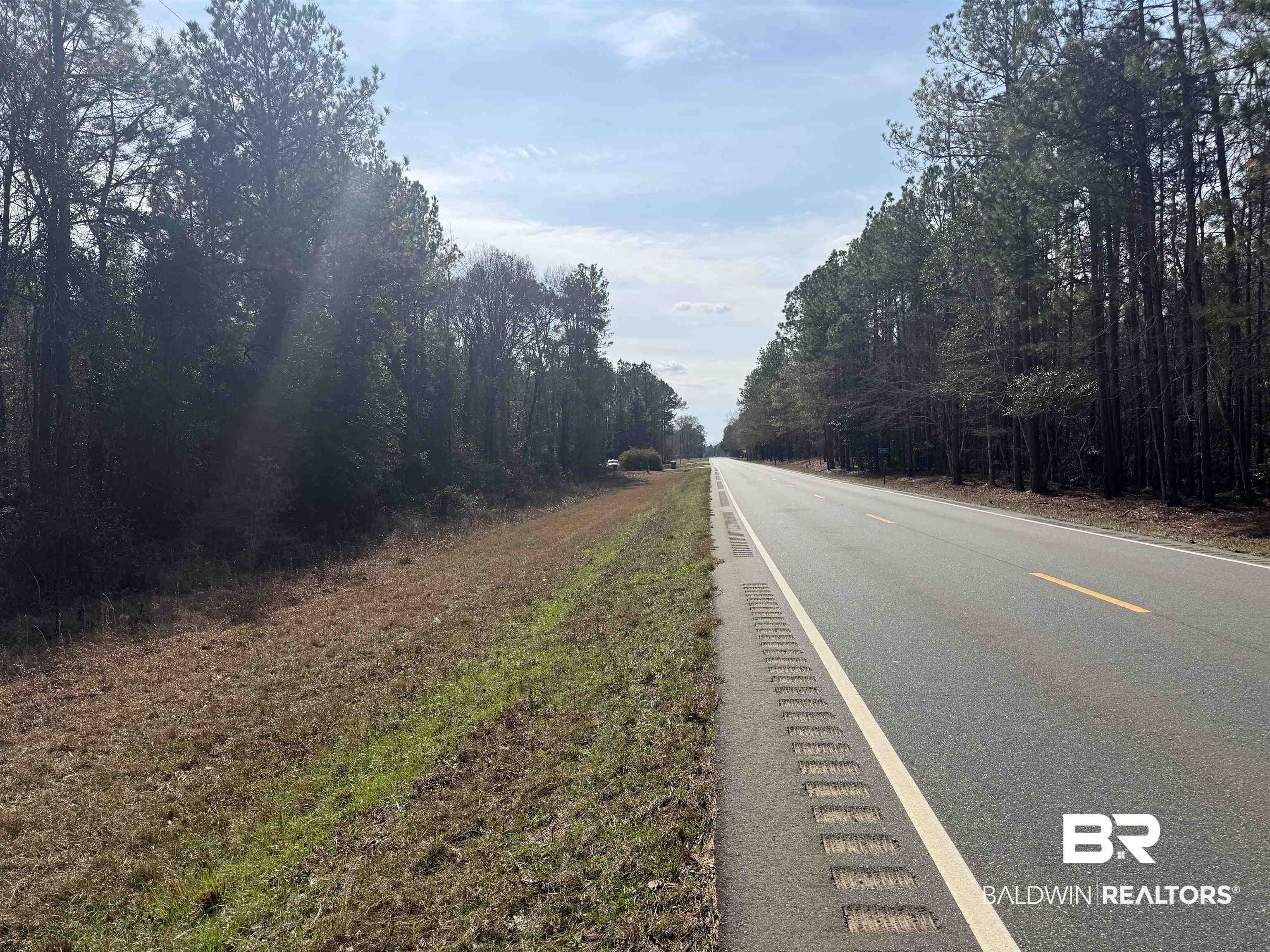 0 Highway 41 Range, AL 36473 - Photo 4 of 11 View of asphalt road