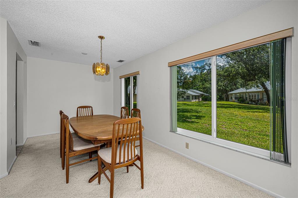 4876 Boonesboro Court New Port Richey, FL 34655 - Photo 9 of 69