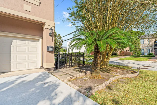 a view of a backyard with a tree