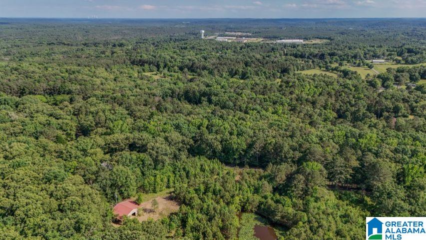 0 Jones Dairy Road Jasper, AL 35501 - Photo 11 of 14