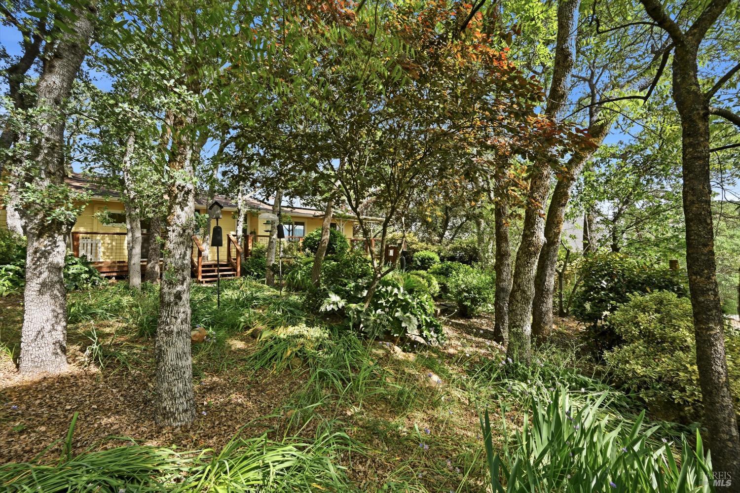 19897 Donkey Hill Road Hidden Valley Lake, CA 95467 - Photo 25 of 45 a view of outdoor space and trees